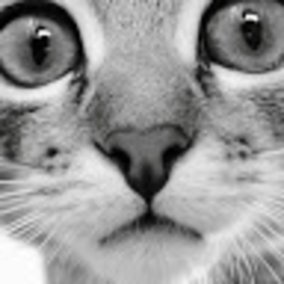 Meet your Posher - Picture 1 of 1